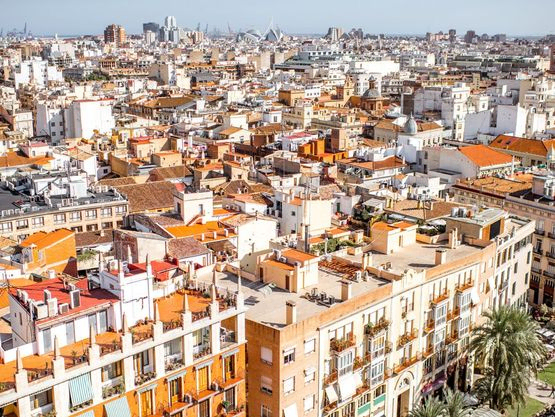 Vive Valencia ciudad de valencia